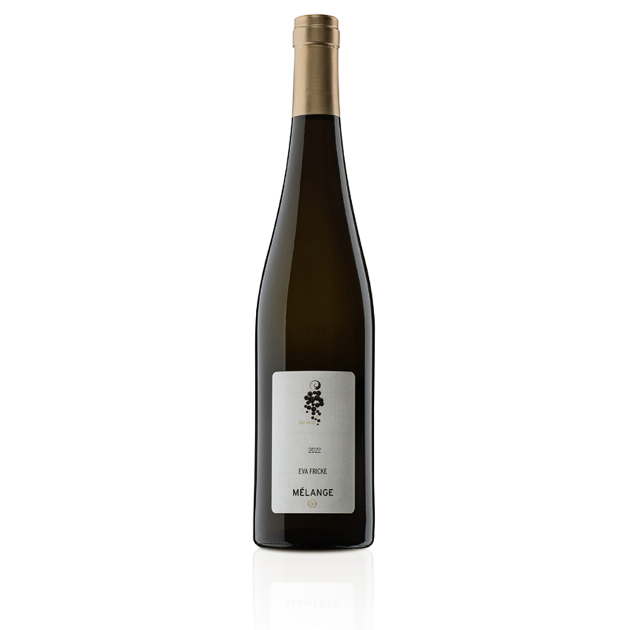 2022 Mélange Rheingau Riesling QbA trocken BIO - Weingut Eva Fricke